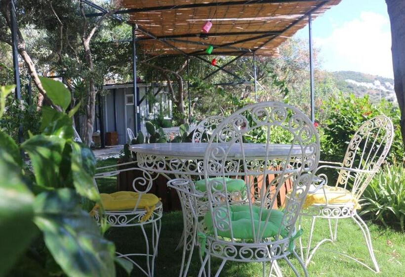 Urga Butik Otel & Restaurant