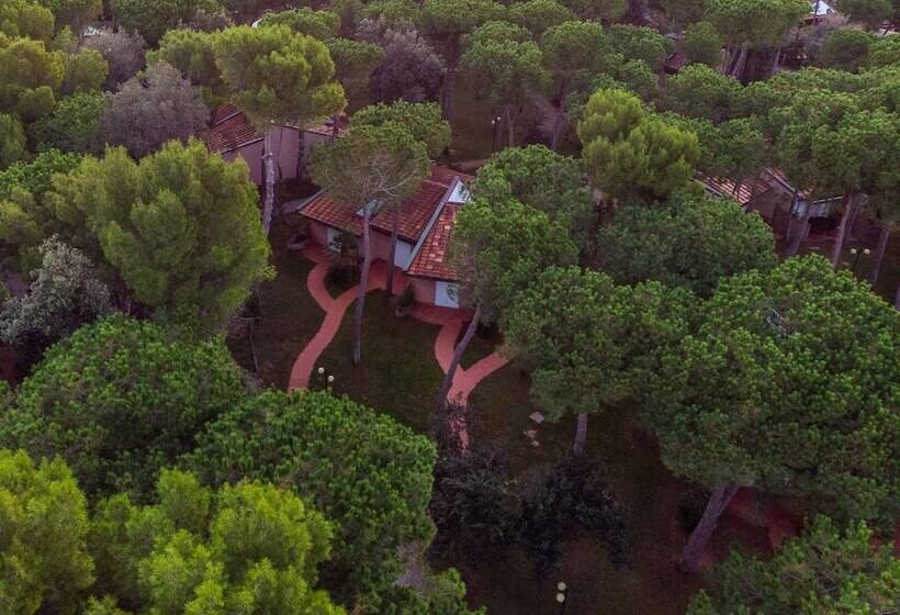 ホテル Riva Degli Etruschi