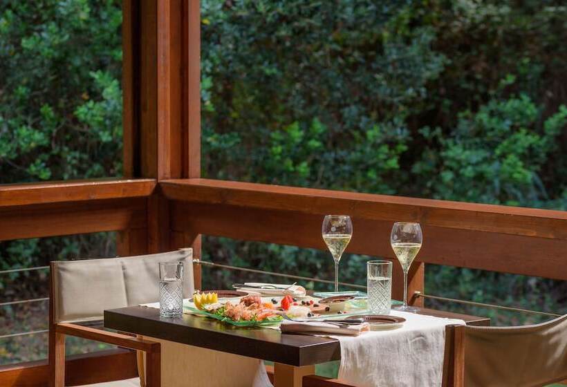 ホテル Riva Degli Etruschi