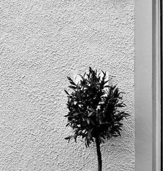 酒店 Ardvane Bed & Breakfast