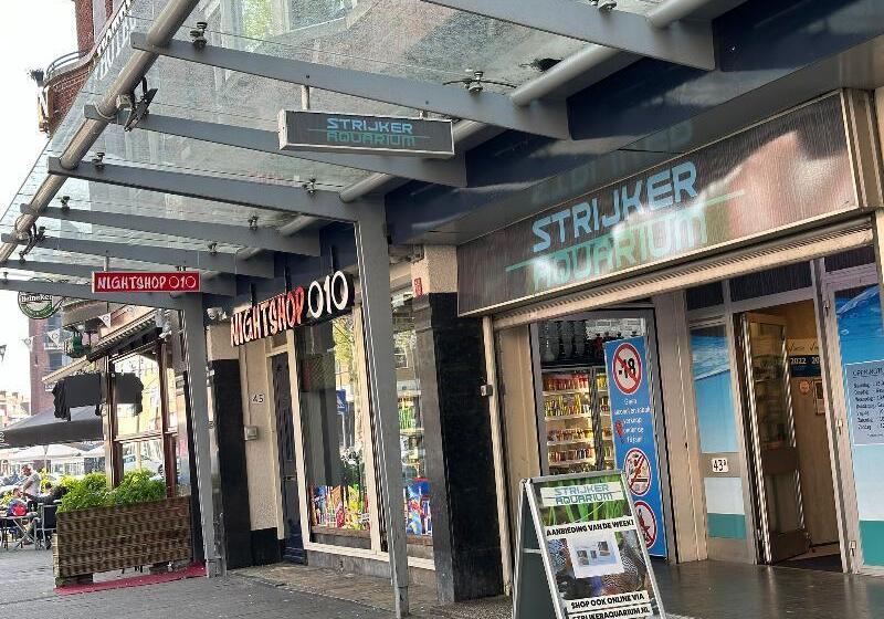 בית מלון כפרי Flex Inn