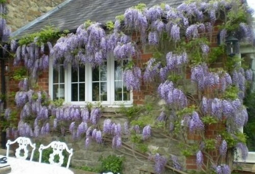 酒店 Blounts Court Farm