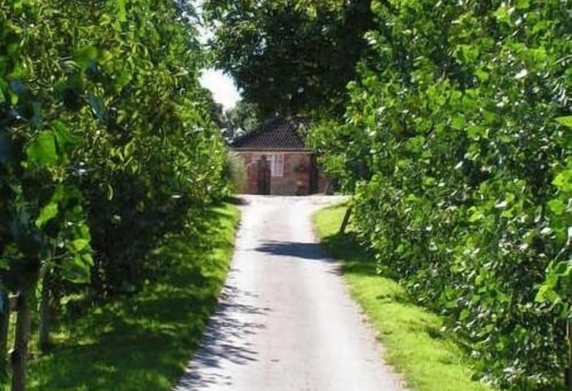 酒店 Blounts Court Farm