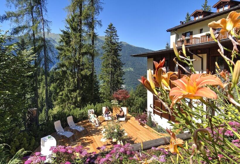 בית מלון כפרי Caminetto