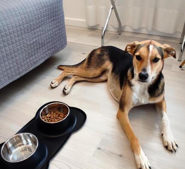 ホテル Everest Arco