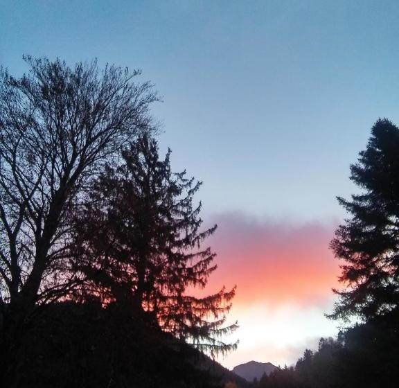 호텔 Hôtel Du Parc