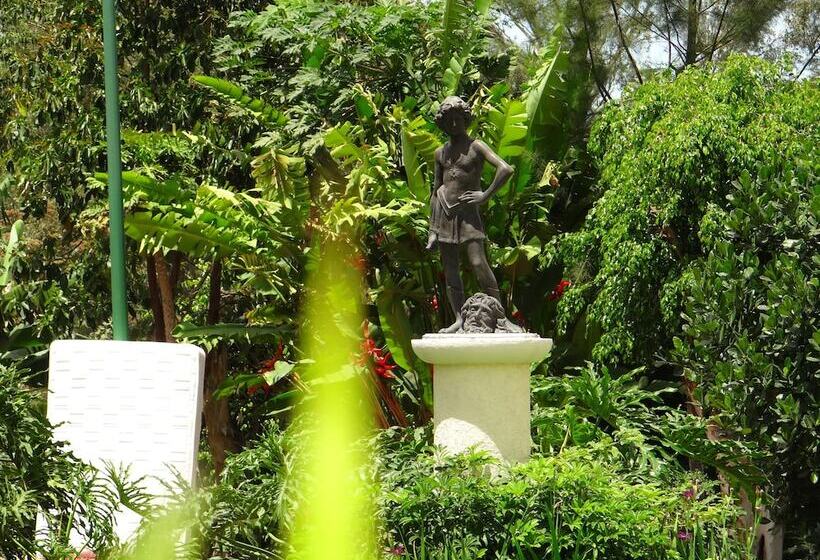 فندق Las Palomas Tepic Express