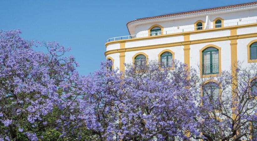 בית מלון כפרי Loule Jardim