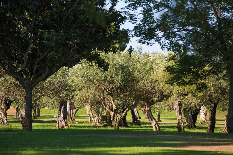 בית מלון כפרי Mclub Lipari