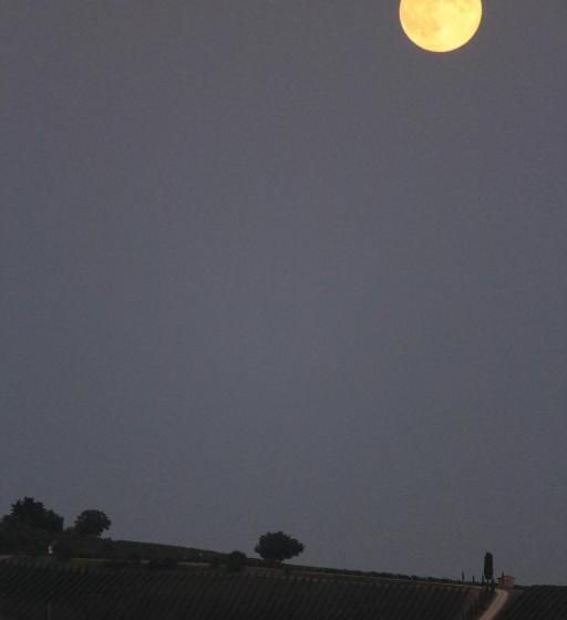 호텔 Residenzia Del Sogno