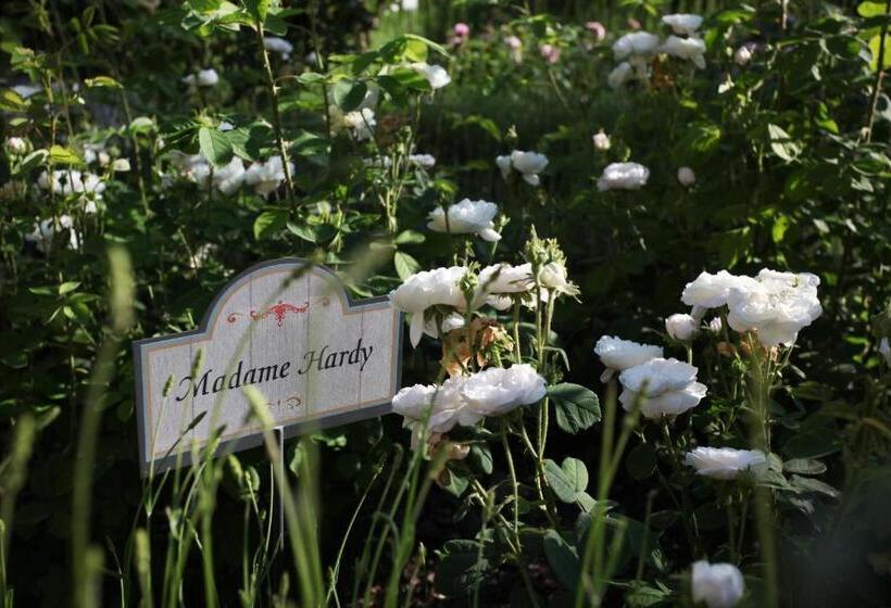 هتل Resort E Spa San Crispino