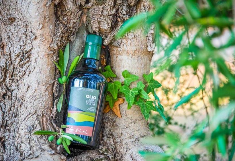 ホテル Riva Degli Etruschi