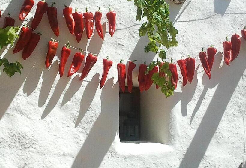 ホテル Rural Cortijo La Alberca