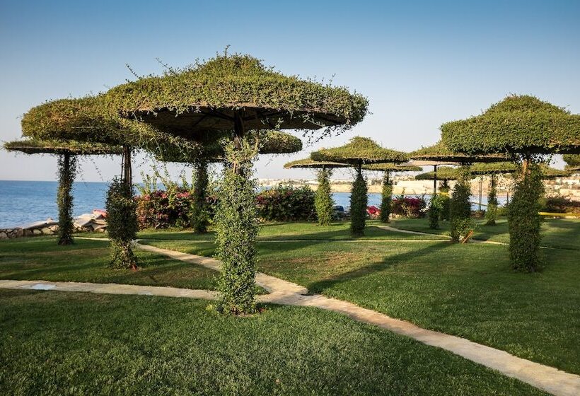 هتل Siva Sharm Resort & Spa   Couples And Families Only