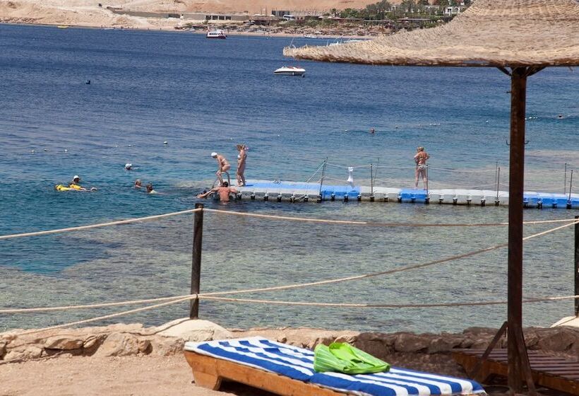 هتل Siva Sharm Resort & Spa   Couples And Families Only