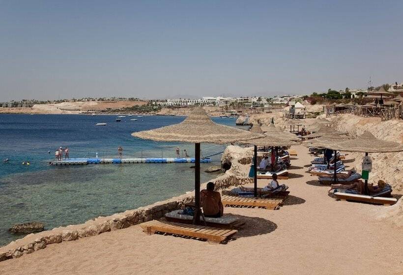 هتل Siva Sharm Resort & Spa   Couples And Families Only