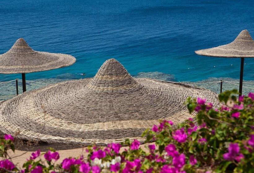 هتل Siva Sharm Resort & Spa Couples And Families Only