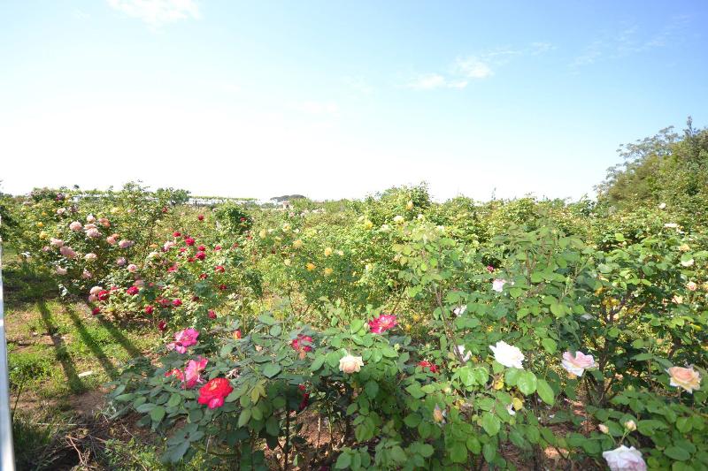 فندق Amaregold Tenuta La Baronessa