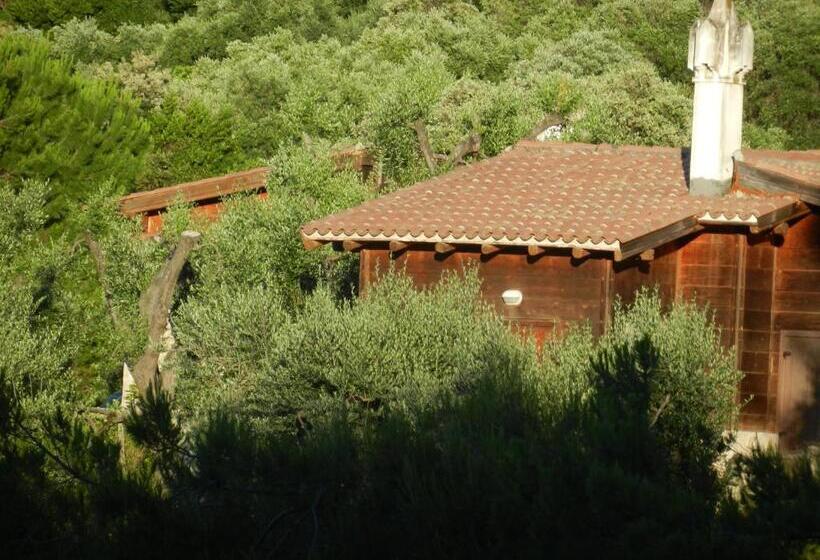 ホテル Tenuta Molino Di Mare