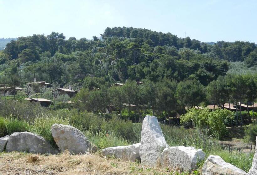 ホテル Tenuta Molino Di Mare