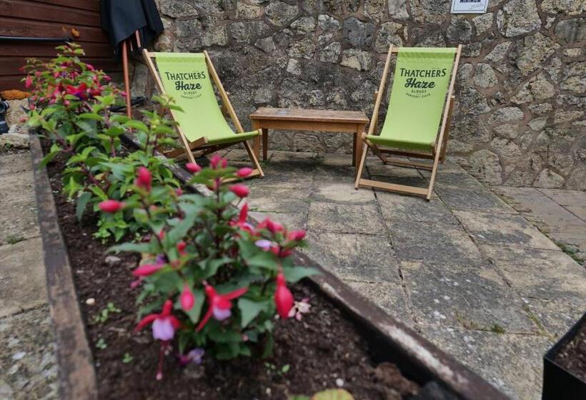 Отель The Mary Arden Inn