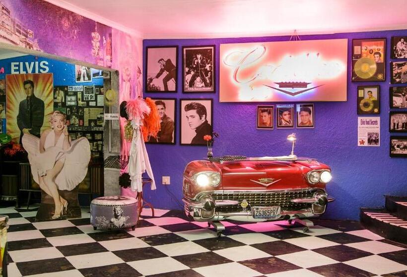 ホテル Tsitsikamma Village Inn