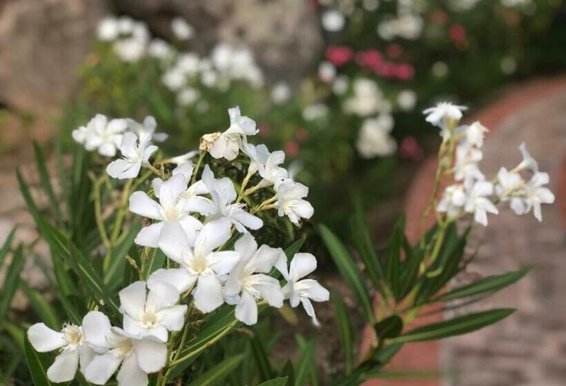 בית מלון כפרי Valkarana Country Relais