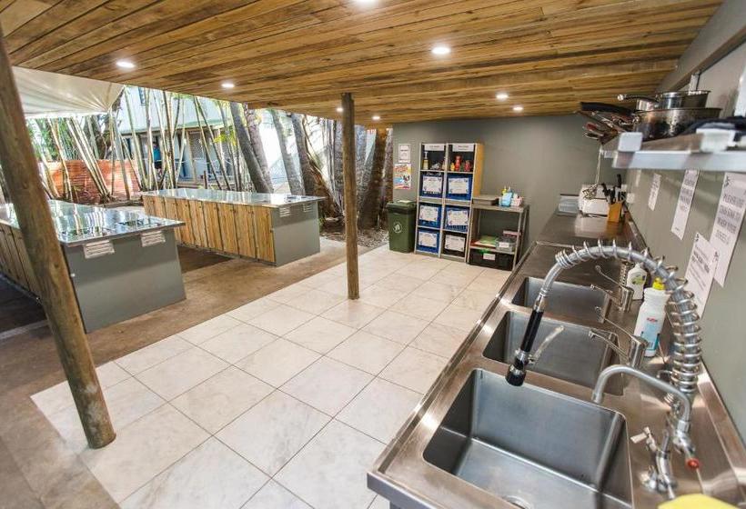 Отель Why Not Backpackers