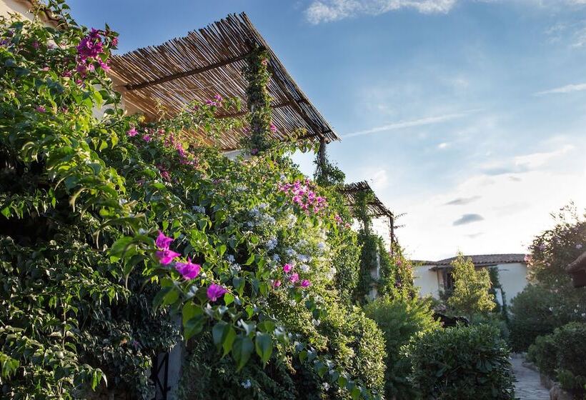 La Jacia Hotel & Resort