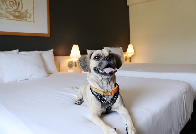 Novotel Monterrey Valle