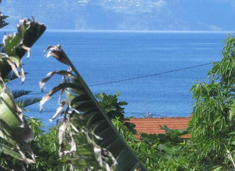 호스텔 Adega Do Gato