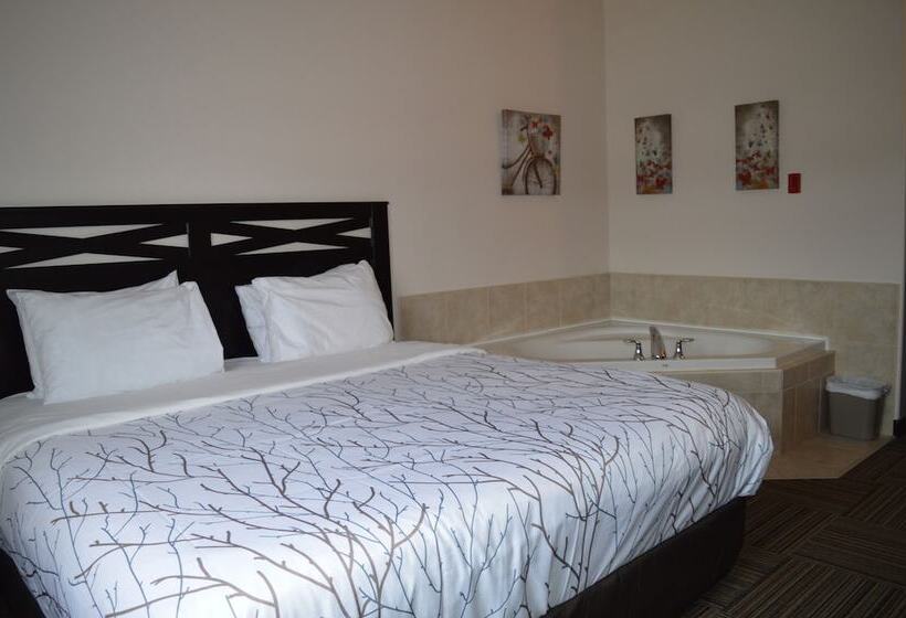 فندق صغير Auberge Macdonald Guest Inn