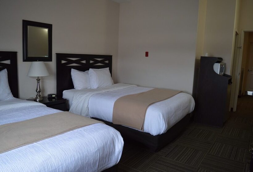 旅馆 Auberge Macdonald Guest Inn