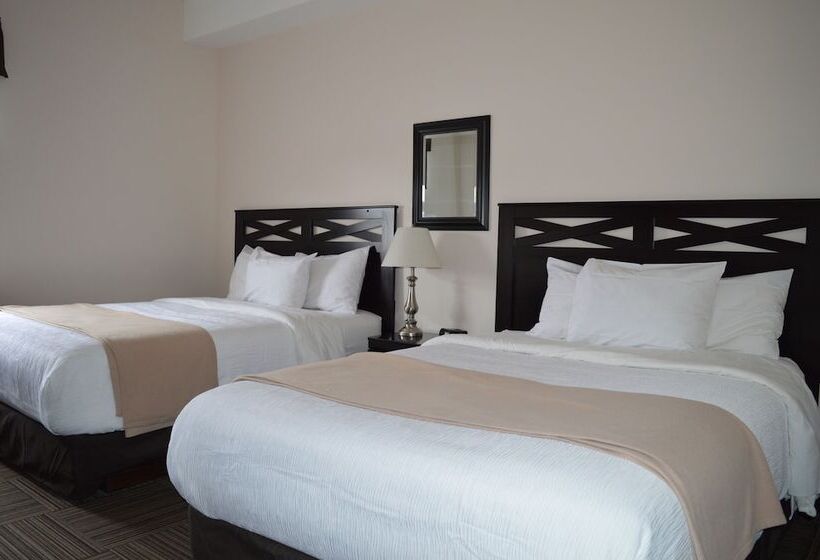 فندق صغير Auberge Macdonald Guest Inn