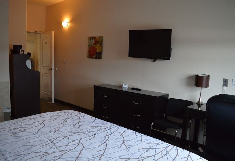 旅馆 Auberge Macdonald Guest Inn