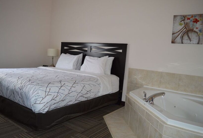 فندق صغير Auberge Macdonald Guest Inn