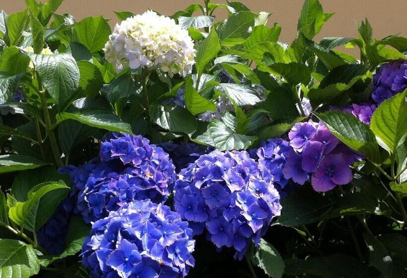 민박 Ca' Di Pincia