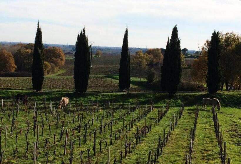 민박 Chateau De La Grave