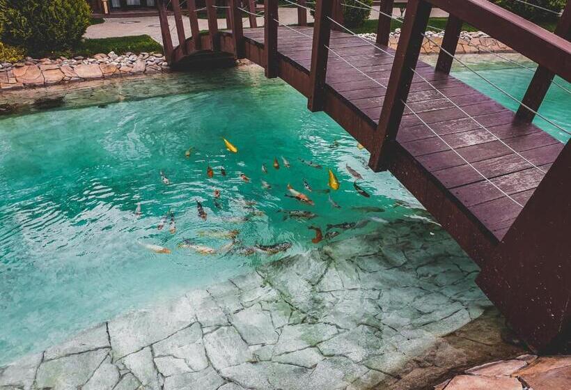 Отель трипільське сонце