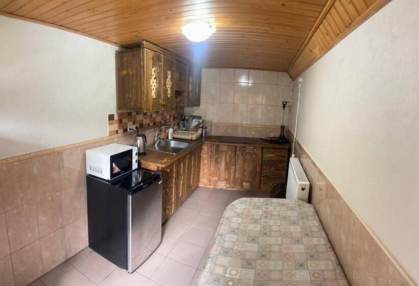 Отель верховинський водограй