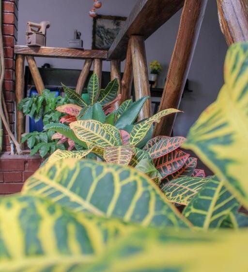 호텔 Colonial San Felipe