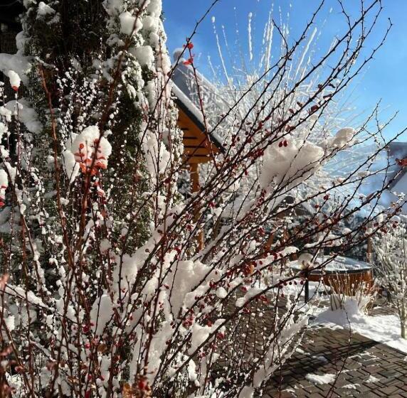 هتل کپسول краса карпат