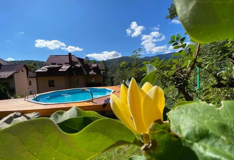 هتل کپسول краса карпат