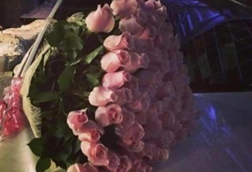 هتل کپسول краса карпат