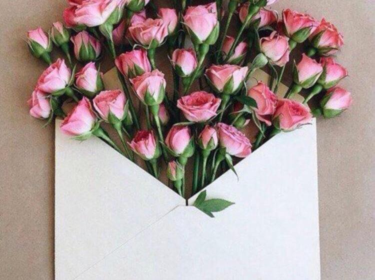 هتل کپسول краса карпат