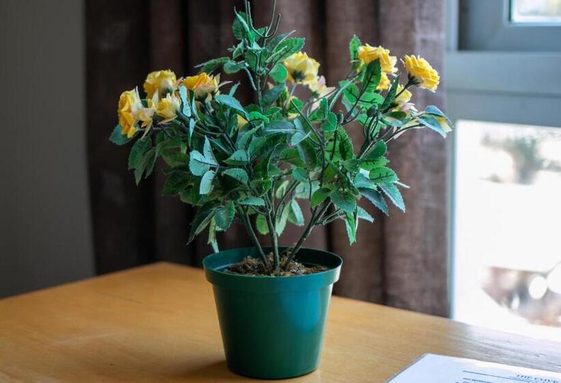 فندق False Bay Inn