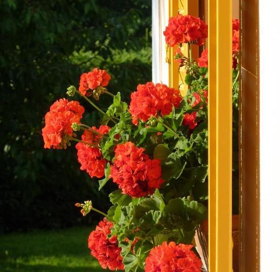 هتل Farm Stay Rotovnik   Plesnik