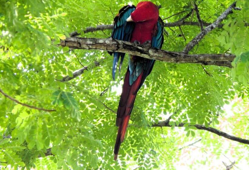 Hotel Isabella Tayrona