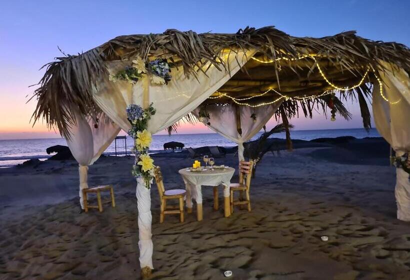 호텔 Maracol Bungalows Vichayito