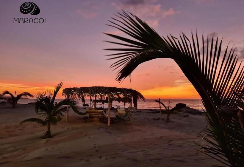 호텔 Maracol Bungalows Vichayito